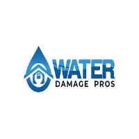 Cobb Water Damage Pros image 1